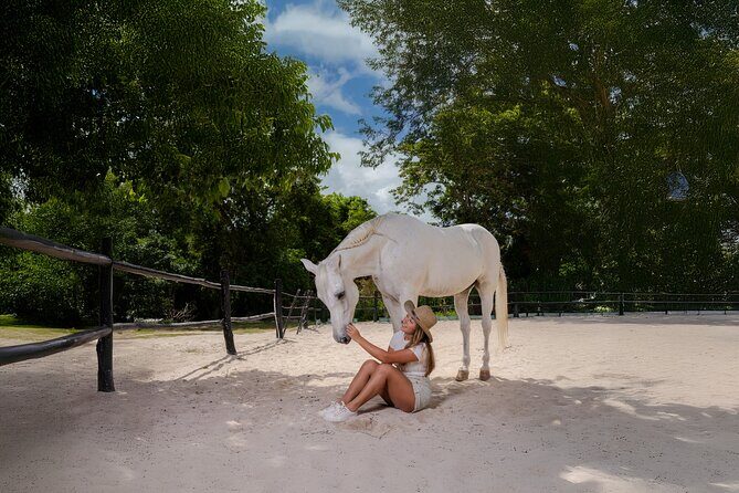 Horseback Riding and Cenote Swim from Cancun or Playa del Carmen - The Cenote Experience: Cool, Clear, and Refreshing
