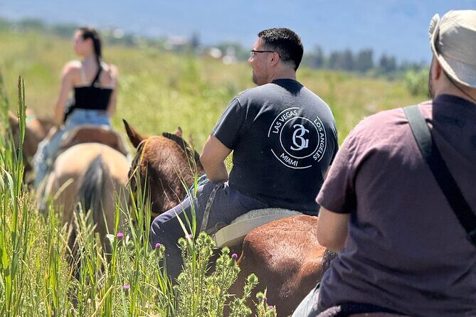 Horseback riding and lodging in Mendoza - Final Thoughts