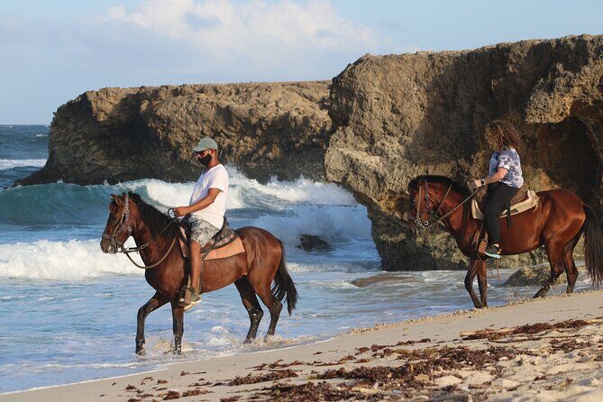 Horseback Riding and Natural Pool Adventure in Aruba - Experience Aruba’s Nature with a Horseback Riding and Natural Pool Adventure