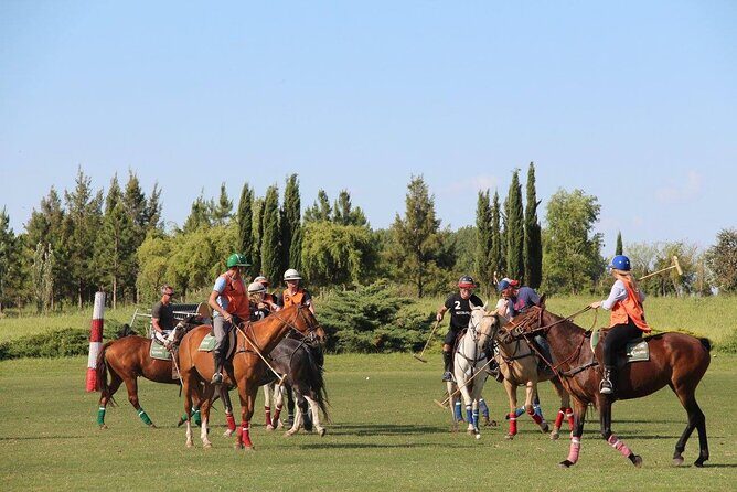 Horseback Riding and Polo in Buenos Aires - Key Points