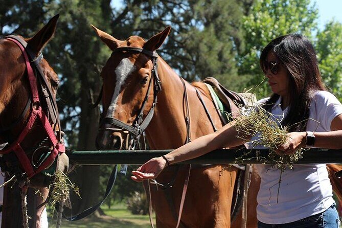 Horseback Riding and Polo in Buenos Aires - FAQ