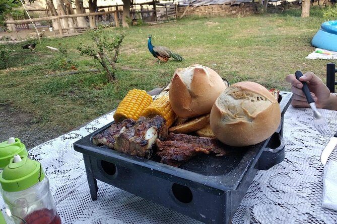 Horseback riding and roast in the mountains of Mendoza - Key Points