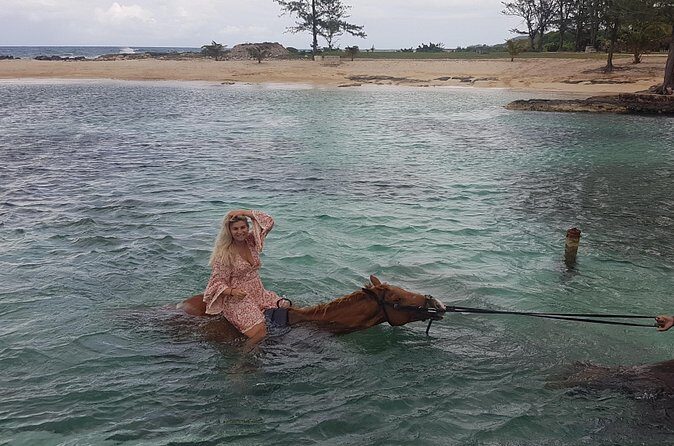 Horseback Riding and Swim from Montego Bay - A Deep Dive into the Experience