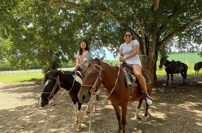 Horseback Riding and Taíno Cave Exploration - The Sum Up: Who Is This Tour Best For?
