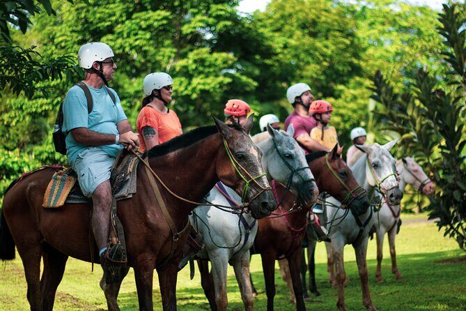 Horseback Riding and Waterfall in Jacó - Practical Details and Tips for Travelers