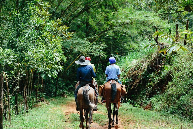Horseback Riding and Waterfalls from Manuel Antonio - Key Points