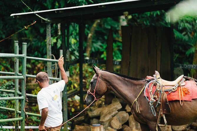 Horseback Riding and Waterfalls from Manuel Antonio - FAQ