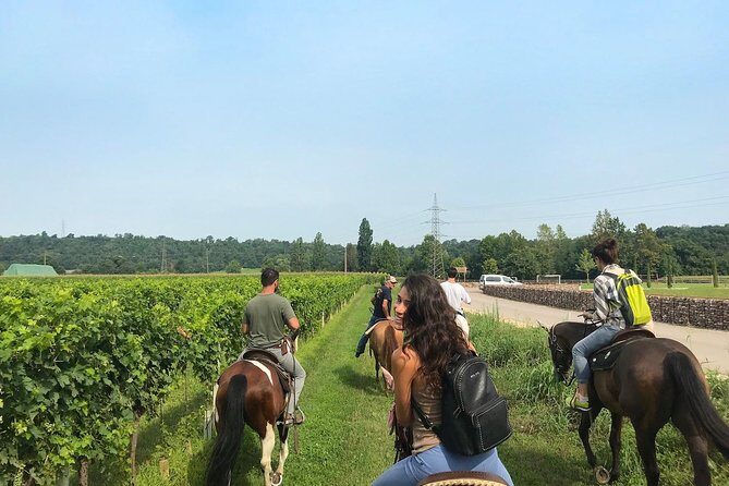 Horseback riding and wine tasting - An In-Depth Look at the Verona Horseback Riding and Wine Tasting Tour