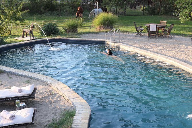 Horseback Riding and yurt stay in the Puszta, 1 hour morning ride - Exploring the Hungarian Puszta by Horseback
