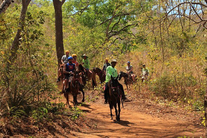 Horseback Riding at Diamante Eco Adventure Park - A Detailed Look at the Diamante Eco Adventure Park Horseback Tour