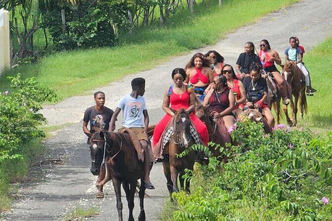 Horseback Riding at Hawksbill Beach in Five islands Antigua - FAQ