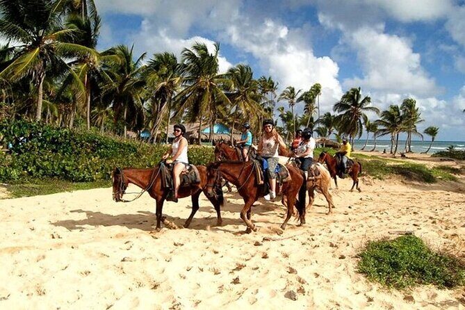 Horseback Riding at Macao Beach - An in-depth look at this horseback riding tour in Punta Cana