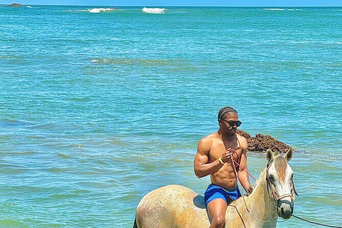 Horseback Riding at Stone Island on the Beach - Who Is This Tour Best For?