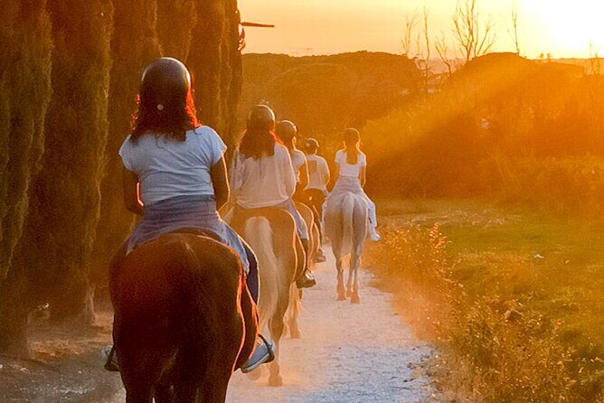 Horseback riding at sunset 1 hour at the Certosa di Pisa - Horseback Riding at Sunset near Pisa: An Authentic and Scenic Adventure
