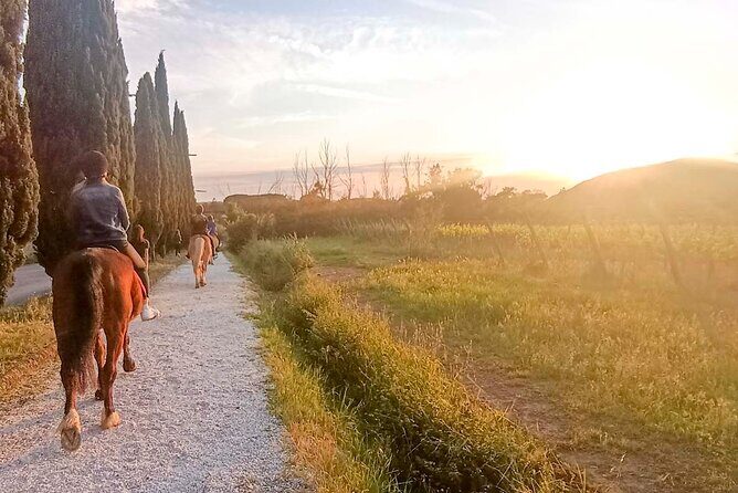 Horseback riding at sunset 1 hour at the Certosa di Pisa - Key Points