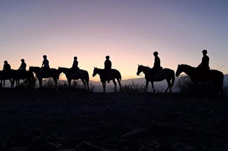 Horseback Riding at Sunset and Dinner in Mendoza - Key Points