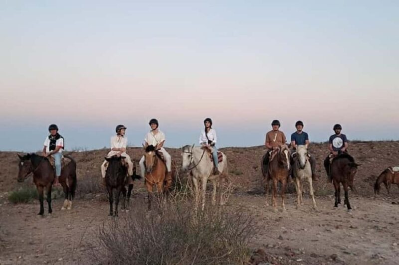 Horseback Riding at Sunset and Dinner in Mendoza - The Sum Up