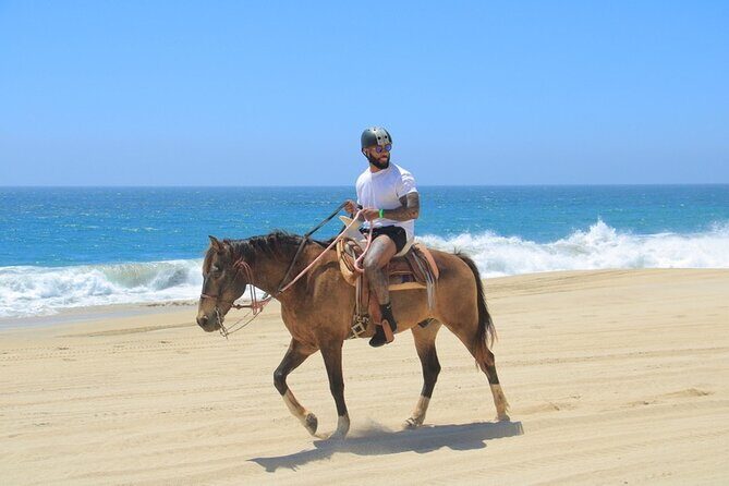 Horseback Riding Beach and Desert Adventure - A Deep Dive into the Horseback Riding Beach and Desert Adventure