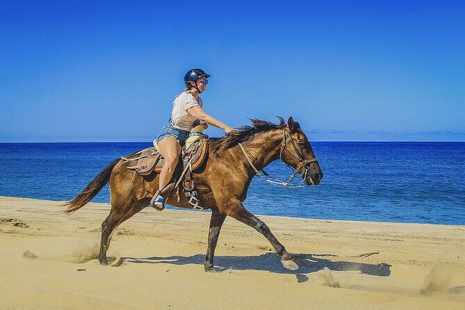 Horseback Riding Beach and Desert in Cabo by Cactus Tours Park - Authenticity and Reviews: What Others Are Saying