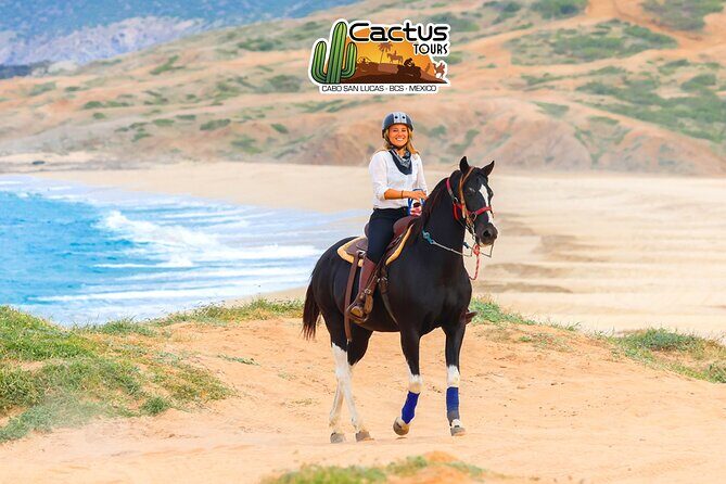 Horseback Riding Beach and Desert in Cabo by Cactus Tours Park - The Sum Up