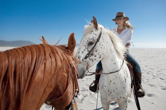 Horseback Riding Beach & Desert Adventure - Horseback Riding Beach & Desert Adventure: An Authentic Baja Experience