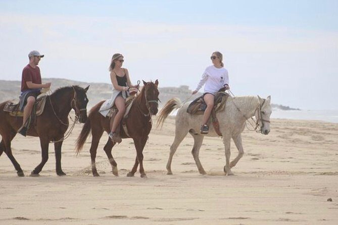 Horseback Riding Beach & Desert Adventure - Who Should Consider This Tour?