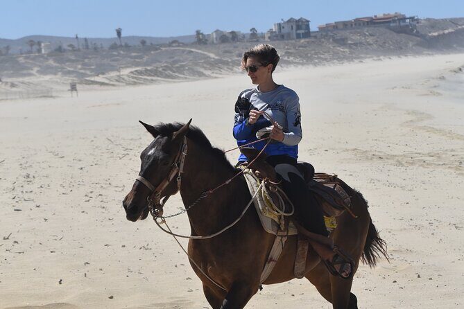 Horseback Riding Beach & Desert Adventure - Final Thoughts