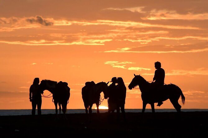 Horseback Riding Beach & Jungle - Horseback Riding Beach & Jungle: An Authentic Costa Rican Experience