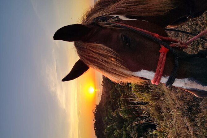 Horseback Riding Beach & Jungle - Key Points
