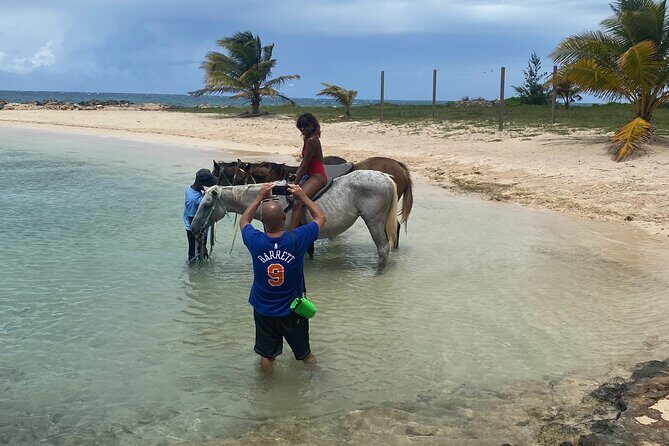 Horseback Riding, Blue Hole & Dunns River Falls from Montego Bay - Who Will Love This Tour?