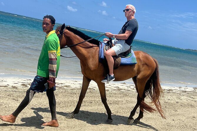 Horseback riding & bluehole secret falls from Montego Bay - Key Points