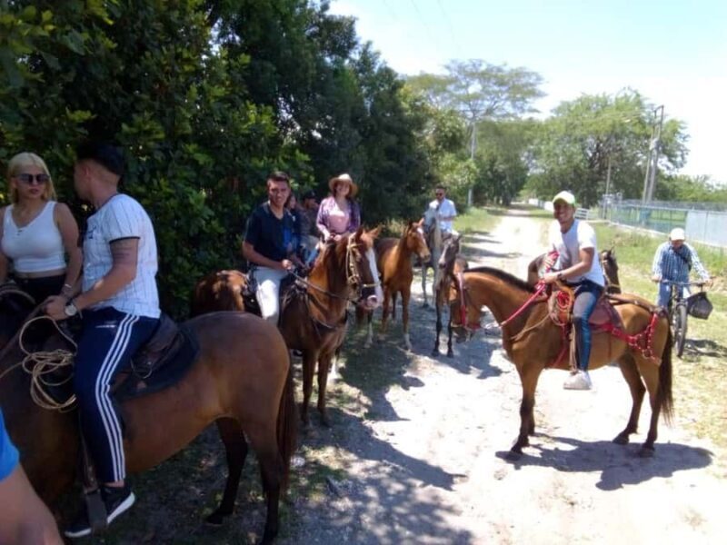 Horseback Riding Caldas Antioquia All Inclusive - Summary: Why Choose This Tour?