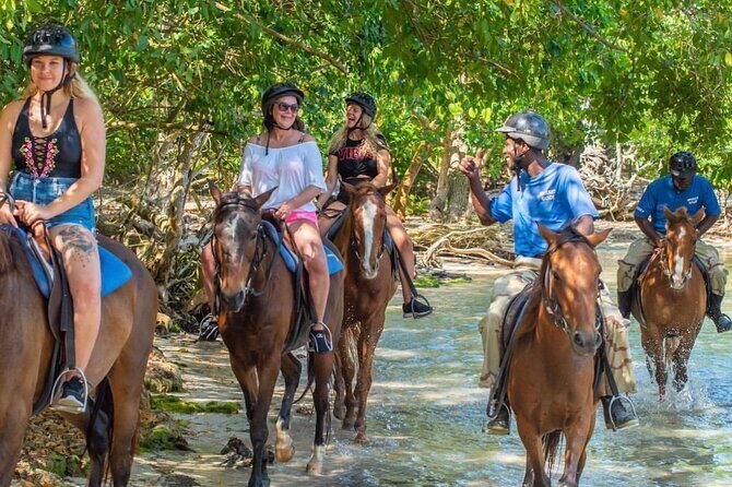 Horseback Riding City Tour + Rum and Chocolate Factory - Key Points