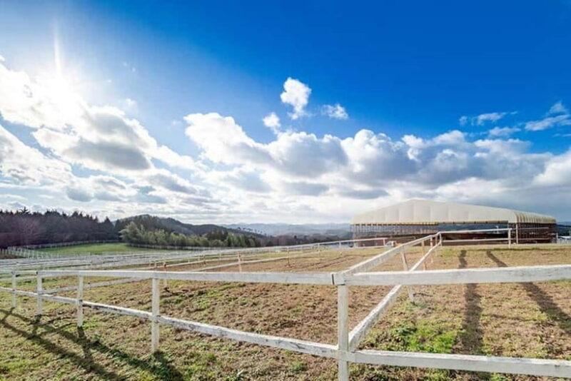 Horseback Riding Club to learn about connecting lives - Key Points