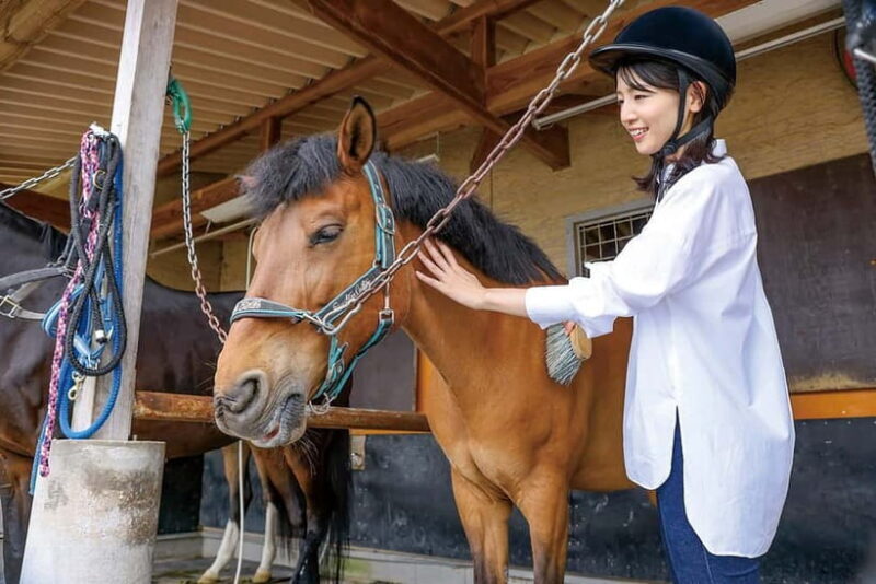 Horseback Riding Club to learn about connecting lives - The Sum Up
