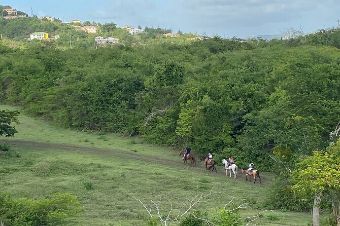 Horseback Riding Experience - Who Will Love This Tour?