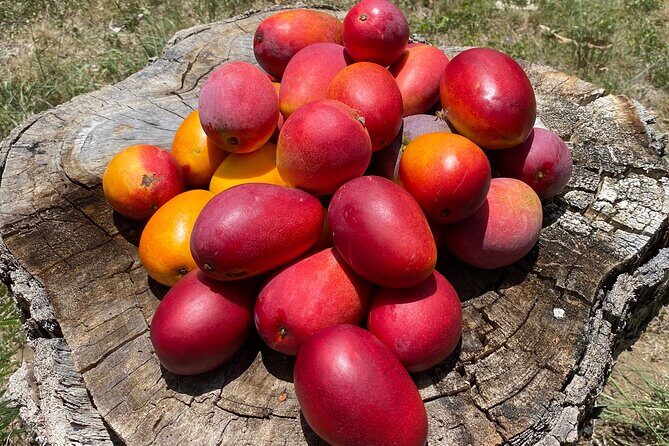 Horseback Riding Experience - The Sum Up: Is This Tour Worth It?