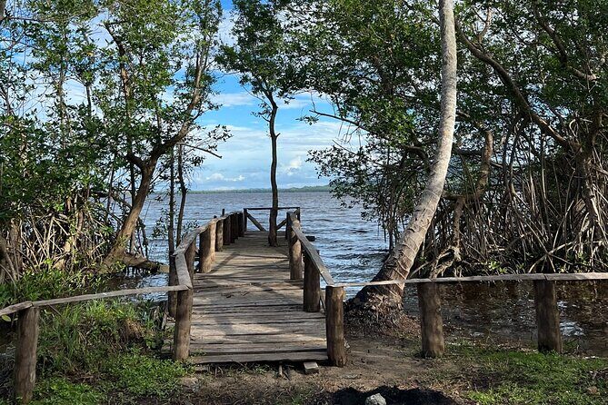 Horseback Riding - Experience between virgin beach and lagoon - FAQ