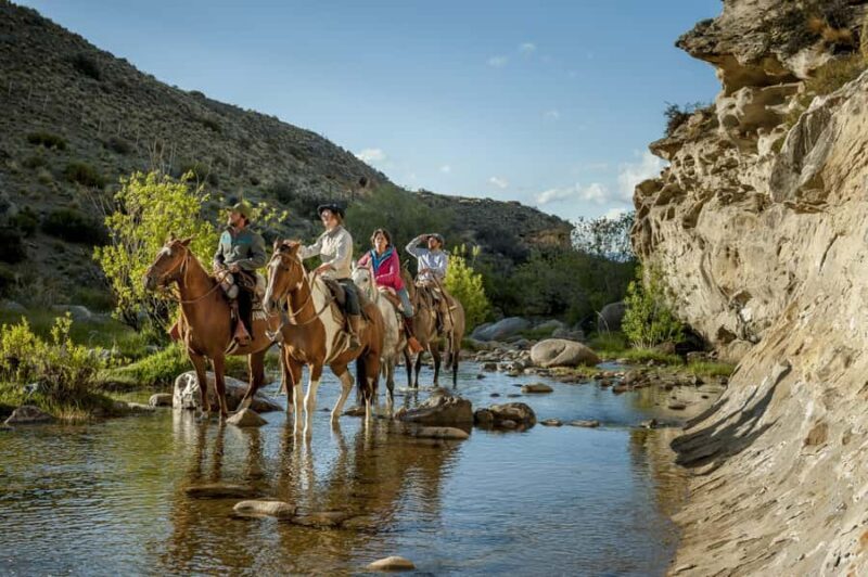 HORSEBACK RIDING EXPERIENCE - CAÑADONES & SADDLES - Who Should Consider This Tour?