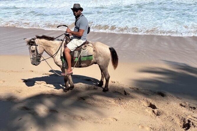 Horseback Riding Experience in Punta Cana - The Sum Up