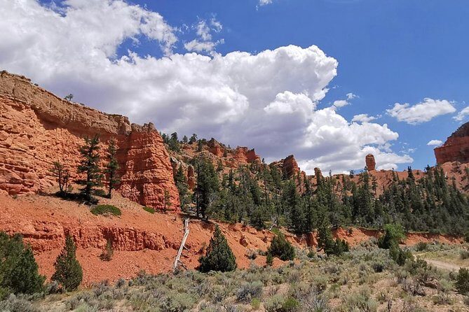 Horseback Riding Experience through Red Canyon with a Guide - Key Points