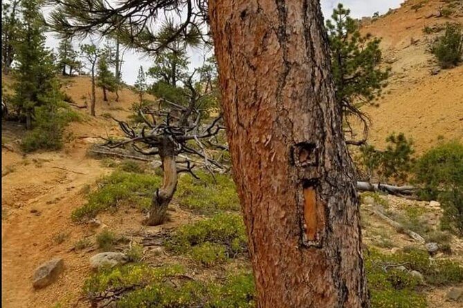 Horseback Riding Experience through Red Canyon with a Guide - Final Thoughts