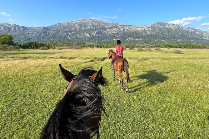 Horseback Riding Experience with transport from Dubrovnik - The Itinerary: What to Expect
