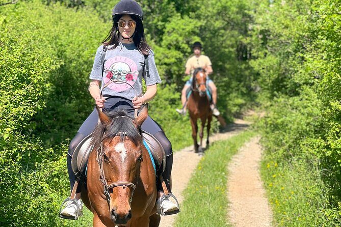 Horseback Riding Experience with transport from Dubrovnik - Why the Views Matter