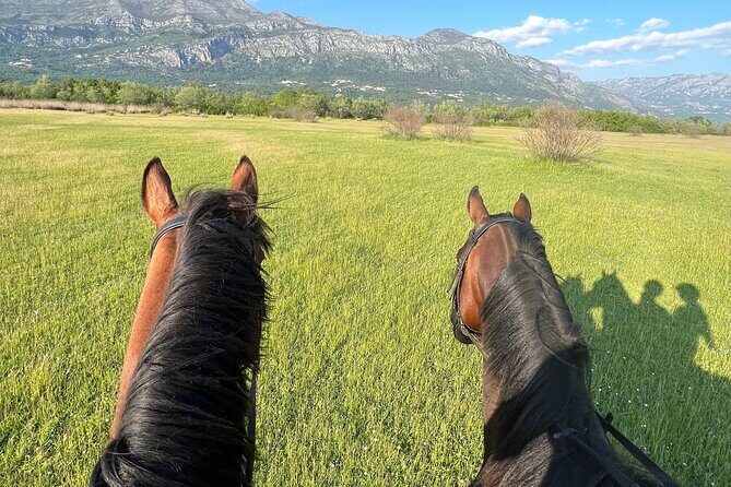 Horseback Riding Experience with transport from Dubrovnik - Who Should Book This Tour?