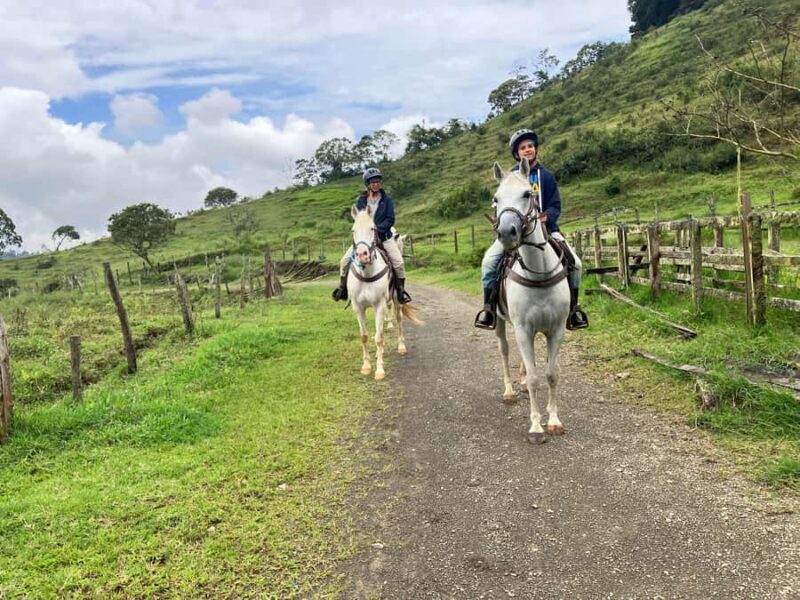 Horseback riding: Explore Medellín's Nearby Countryside - Who should consider this tour?