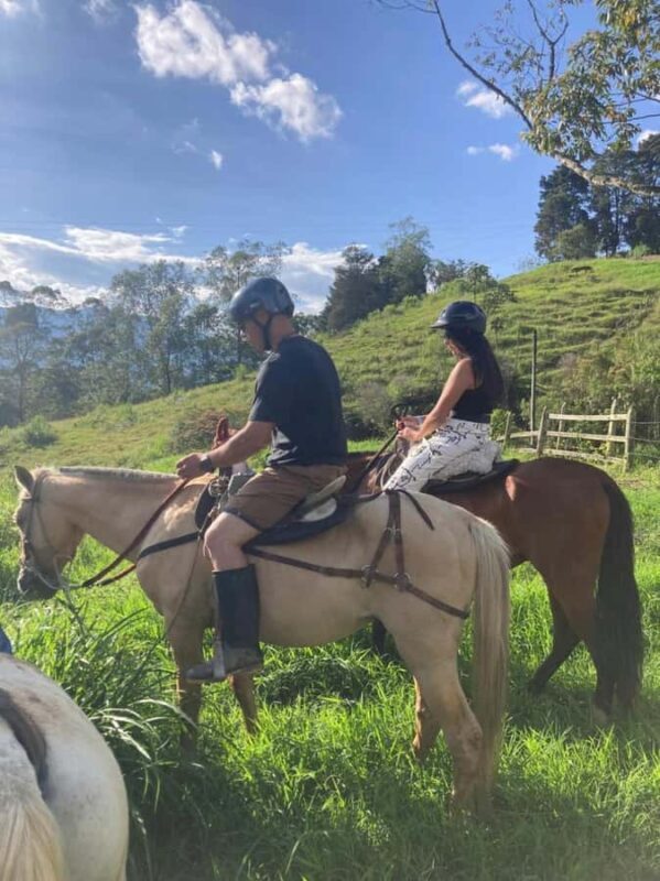 Horseback riding: Explore Medellín's Nearby Countryside - The Sum Up