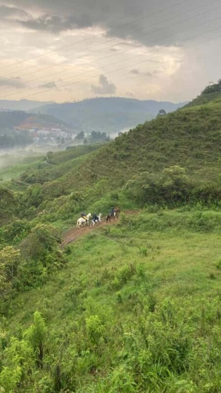 Horseback riding: Explore Medellín's Nearby Countryside - FAQ
