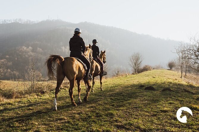 Horseback riding for experts between the lake and the mountains - The Core Experience: Scenic Trails and Trailsides