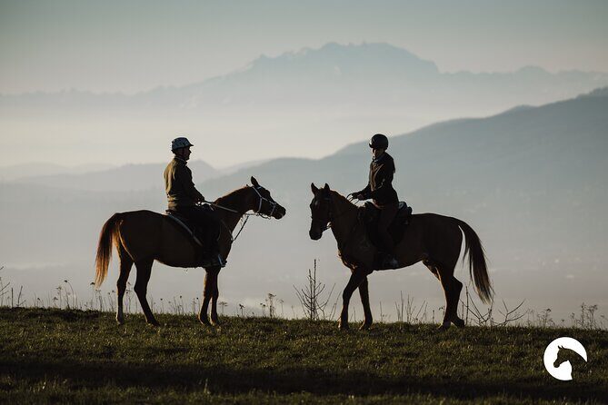 Horseback riding for experts between the lake and the mountains - Galloping Back: The Final Two Hours